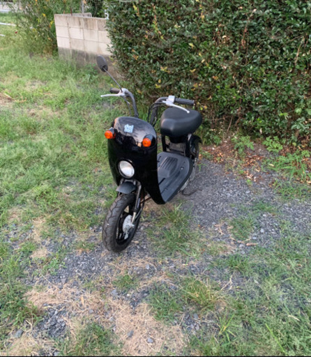チョイノリ 原付 バイク 50cc 車体 本体 | pcmlawoffices.com