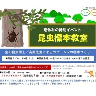 夏休み子どもワークショップ昆虫の標本教室 チアフル ママ 一宮のワークショップのイベント参加者募集 無料掲載の掲示板 ジモティー