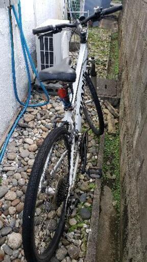Giant xs 灰色