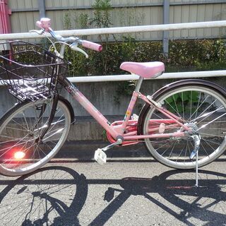 ブリジストン 22インチ 子供用自転車 女の子 w2-worldbuffet.co.uk