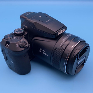 ニコン Nikon COOLPIX P900 予備バッテリー等付き-hobo CUSHION