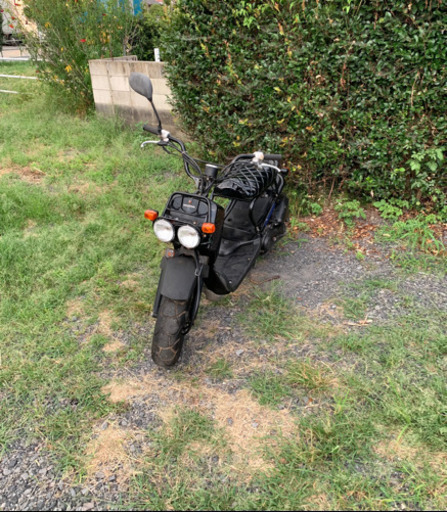 ホンダ　ズーマー  AF58 原付　バイク　50cc   車体　本体
