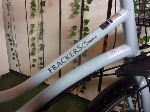 愛品館八千代店】丸石サイクル 20インチ電動アシスト自転車【愛八JT】