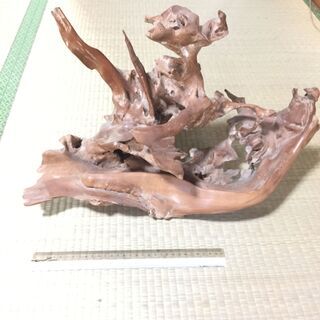 流木のオブジェ・リトルドラゴン 流木のオブジェ・リトルドラゴン