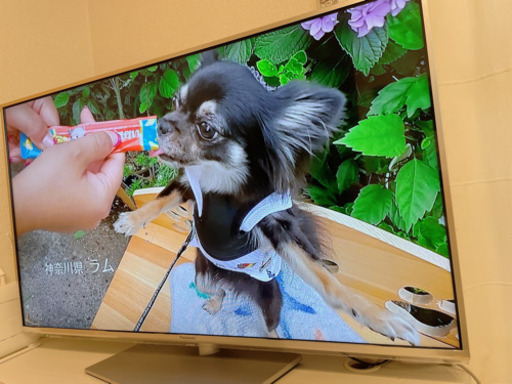 パナソニック テレビ 47型 Panasonic TV