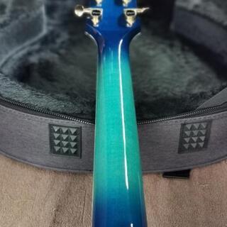 【売約済み】Takamine 高峰 エレアコ tsp178ac sbb