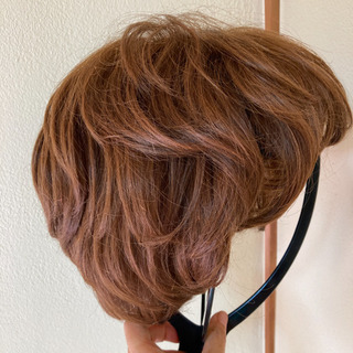 定価16万円以上　ハイネットウィッグ ハイネット ウィッグ