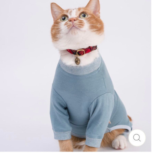 新品未開封品 獣医師推奨 猫に優しい皮膚保護服キャットプロテクションスーツ M ブルー 1 栞 郡山の家電の中古あげます 譲ります ジモティーで不用品の処分