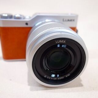 苫小牧バナナ】パナソニック/Panasonic 4K対応 デジタル一眼レフカメラ