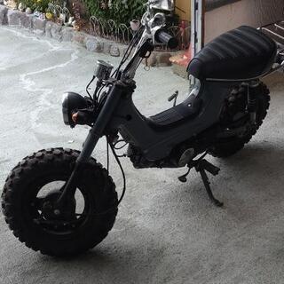 購入決まりました ホンダ シャリー ブロックタイヤ モンキー