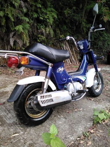 ホンダ　シャリー50　人気の青！！　12V　実動、絶好調です！！ ホンダ シャリー50 人気の青！！ 12V 実動、絶好調です！！