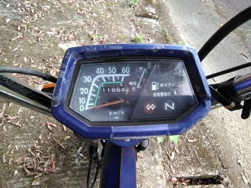 ホンダ　シャリー50　人気の青！！　12V　実動、絶好調です！！ ホンダ シャリー50 人気の青！！ 12V 実動、絶好調です！！