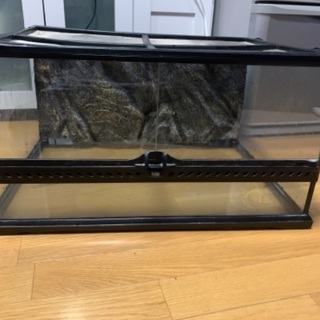 ホンダノビオ〈PM50〉格安 中古 バイク 原動機付き自転車