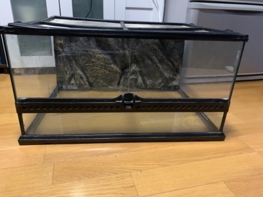 爬虫類ケース