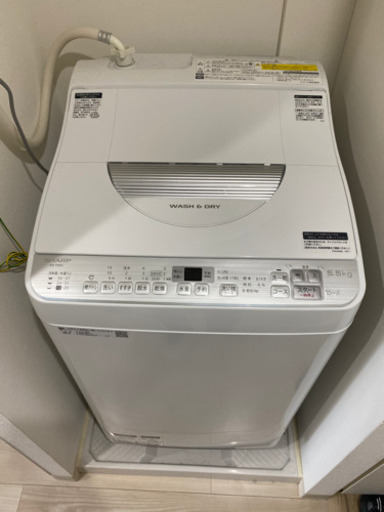 2019年製　SHARP 乾燥付き縦型洗濯機　5.5.kg/3.5kg