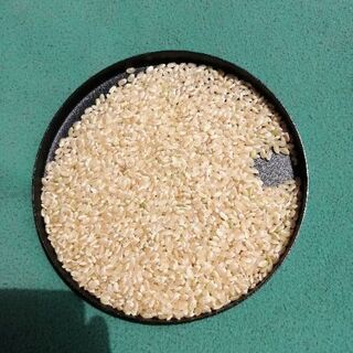 令和2年産　美味しい阿波市のコシヒカリ　30㌔玄米　