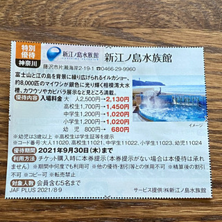 新江ノ島水族館　割引券