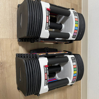 ダンベル・ベンチ