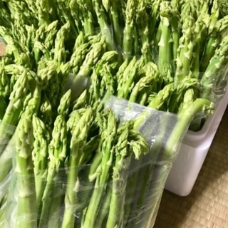 野菜　アスパラ　ふぞろい　20本位