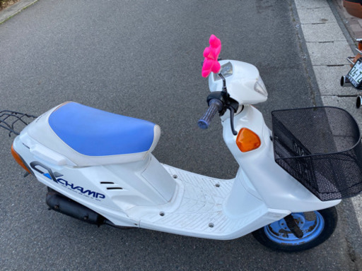 チャンプ✌️
