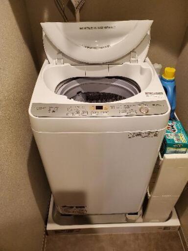 シャープ縦型洗濯機 6kg 2019年式（美品）（オマケ付）