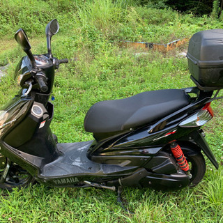 シグナスX SE44J 埼玉