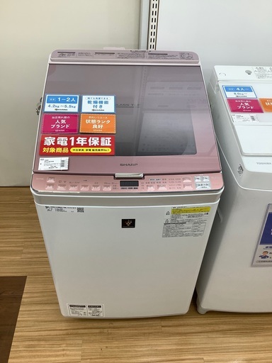 安心の1年保証付き！2018年製TOSHIBA(東芝)の8.0kg洗濯乾燥機！