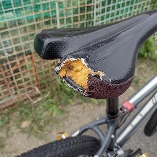 受渡し者決定マウンテンバイク SPECIALIZED