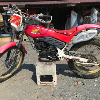 TLM200 希少　2ストトライアル車 TLM200 希少 2ストトライアル車 【公式通販】