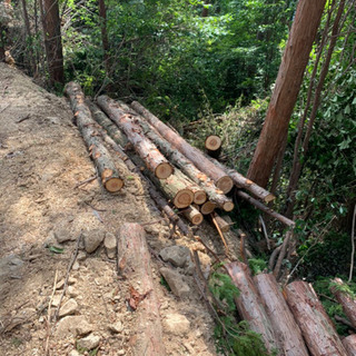 薪　杉檜混合　軽トラいっぱい　丸太　材木