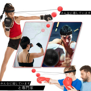 中古パンチングボールが無料 格安で買える ジモティー