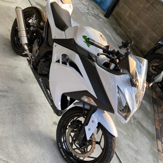 ninja250 2015年式　