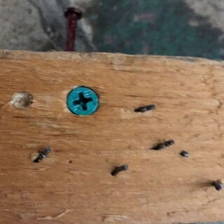 日立工機 高圧ねじ打機 WF4H2 エアツール (D4175amxY)