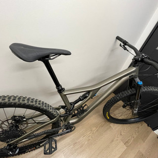 SPECIALIZED Stumpjumper EVO Comp Alloy 29 サイズS3