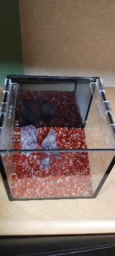15cmキューブ水槽 たっく 東本願寺前のその他の中古あげます 譲ります ジモティーで不用品の処分 15cmキューブ水槽 たっく 東本願寺前のその他の中古あげます 譲ります ジモティーで不用品の処分