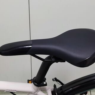 ブリヂストン　CYLVA F24 　2021モデル（バスケット・フェンダー付き）