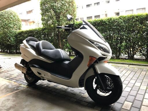 機関絶好調、早い者勝ち