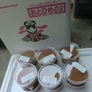 中古おとひめが無料 格安で買える ジモティー