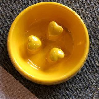 ペット　犬猫エサ皿　黄色　RKJ0591