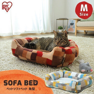 猫　小型犬　ベッド　ソファ　