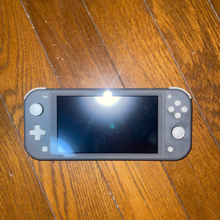 Switchライト(ブラック) コントローラー ハードケースセット