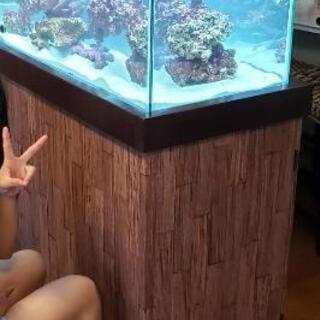 コトブキ 工芸 レグラスフラット 120×45×45水槽 F-120L