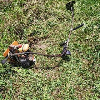 草むしり　草抜き　草刈機使用もできます。