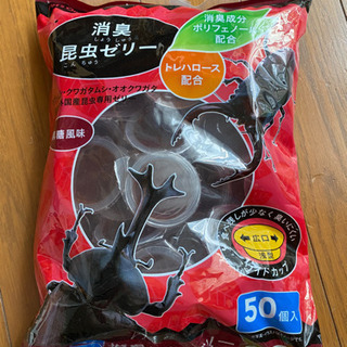 中古クワガタ 生活雑貨が無料 格安で買える ジモティー