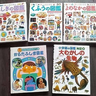 【お話中】図鑑　５冊　小学生向け