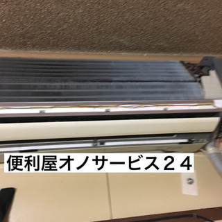 格安価格‼︎蜂の駆除、ゴキブリ駆除、ヘビ駆除、コウモリ