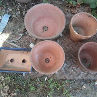 【取引成立】●無料● 陶器製 植木鉢 まとめて 差し上げます。＊...