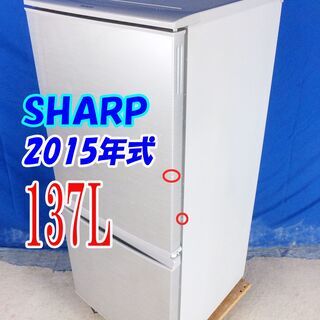 8/31SHARP 冷蔵庫 SJ-AK31F-B 310L 2020年製 2ドア糸魚川真柏盆栽2本セット
