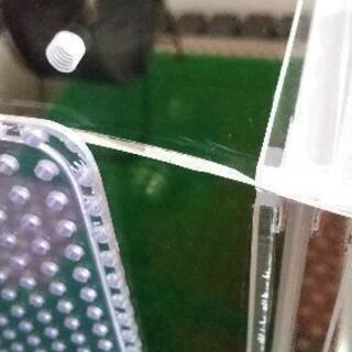 アクリルケージ