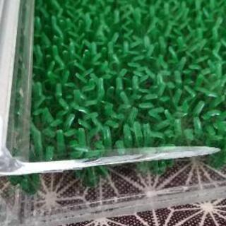 アクリルケージ